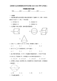 云南省文山壮族苗族自治州马关县2023-2024学年七年级上学期期末数学试题(含答案)