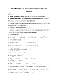 湖北省襄阳市老河口市2023-2024学年八年级上学期期末数学模拟试题（含答案）