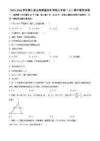 2023-2024学年浙江省山海联盟协作学校九年级上学期期中数学试题