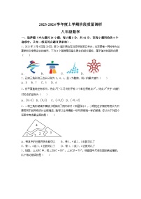 山东省临沂市兰陵县2023-2024学年八年级上学期期中阶段质量调研数学试卷(含解析)