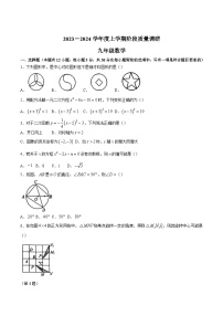 山东省临沂市兰陵县2024届九年级上学期期中阶段质量调研数学试卷(含部分解析)