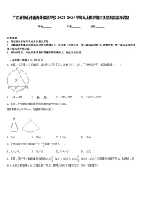 广东省佛山市南海外国语学校2023-2024学年九上数学期末质量跟踪监视试题含答案