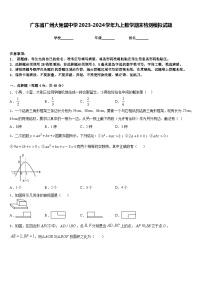 广东省广州大附属中学2023-2024学年九上数学期末检测模拟试题含答案
