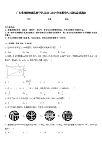 广东省揭阳榕城真理中学2023-2024学年数学九上期末监测试题含答案