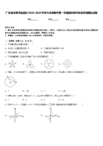 广东省深圳市盐田区2023-2024学年九年级数学第一学期期末教学质量检测模拟试题含答案