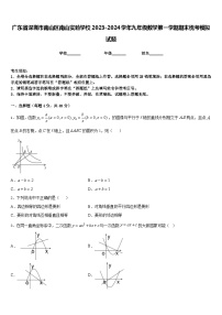 广东省深圳市南山区南山实验学校2023-2024学年九年级数学第一学期期末统考模拟试题含答案