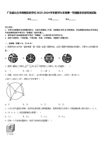 广东省汕头市潮阳实验学校2023-2024学年数学九年级第一学期期末质量检测试题含答案