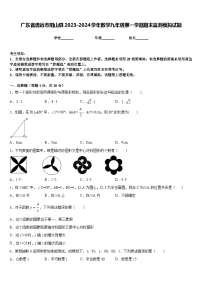 广东省清远市阳山县2023-2024学年数学九年级第一学期期末监测模拟试题含答案