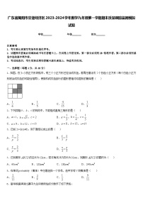 广东省揭阳市空港经济区2023-2024学年数学九年级第一学期期末质量跟踪监视模拟试题含答案