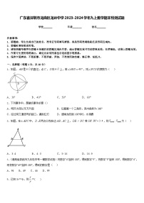 广东省深圳市龙岗区龙岭中学2023-2024学年九上数学期末检测试题含答案