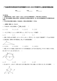 广东省深圳市深圳实验学校初中部联考2023-2024学年数学九上期末联考模拟试题含答案