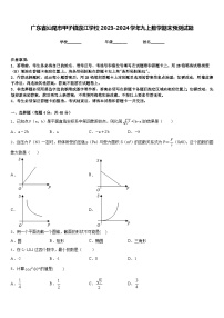 广东省汕尾市甲子镇瀛江学校2023-2024学年九上数学期末预测试题含答案