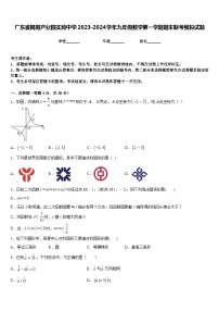 广东省揭阳产业园实验中学2023-2024学年九年级数学第一学期期末联考模拟试题含答案