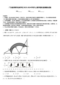 广东省深圳市石厦学校2023-2024学年九上数学期末监测模拟试题含答案