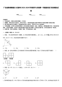 广东省惠州惠阳区六校联考2023-2024学年数学九年级第一学期期末复习检测模拟试题含答案