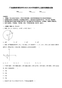 广东省惠州市第五中学2023-2024学年数学九上期末经典模拟试题含答案