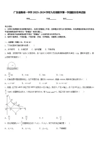 广东省惠州一中学2023-2024学年九年级数学第一学期期末统考试题含答案