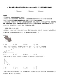 广东省深圳市南山区北师大附中2023-2024学年九上数学期末预测试题含答案