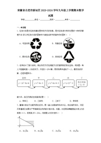 安徽省合肥市新站区2023-2024学年九年级上学期期末数学试题(含答案)