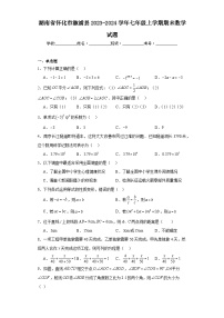 湖南省怀化市溆浦县2023-2024学年七年级上学期期末数学试题(含答案)