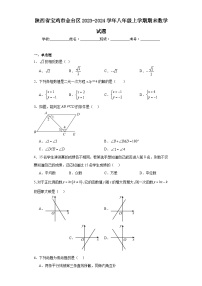 陕西省宝鸡市金台区2023-2024学年八年级上学期期末数学试题(含答案)