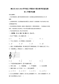 福建省泉州市南安市2023-2024学年九年级上学期期末数学试题（含解析）