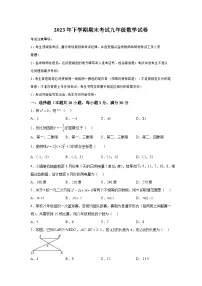 湖南省株洲市渌口区2023-2024学年九年级上学期期末数学试题（含解析）