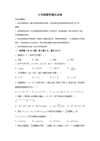 安徽省合肥市肥东县2023-2024学年九年级上学期期末数学试题（含解析）