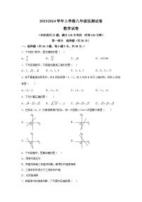 辽宁省沈阳市和平区2023-2024学年八年级上学期期末数学试题（含解析）