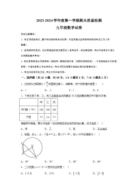 河北省唐山市乐亭县2023-2024学年九年级上学期期末数学试题（含解析）