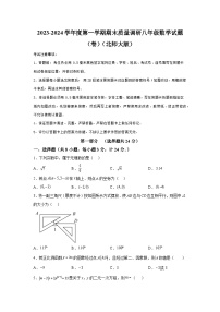 陕西省咸阳市兴平市2023-2024学年八年级上学期期末数学试题（含解析）