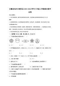 安徽省池州市青阳县2023-2024学年八年级上学期期末数学试题（含解析）