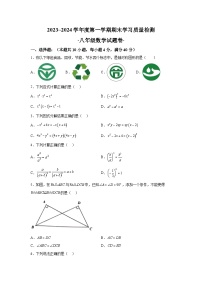 安徽省芜湖市无为市2023-2024学年八年级上学期期末数学试题（含解析）