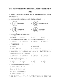 2023-2024学年湖北省黄石市黄石港区八年级（上）期末数学试卷（含解析）