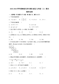 湖南省长沙市湘江新区2023-2024学年七年级上学期期末数学试题（含解析）