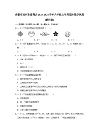 安徽省池州市青阳县2023-2024学年八年级上学期期末数学试卷（含解析）