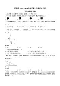 安徽省六安市霍邱县2023-2024学年八年级上学期期末数学试题