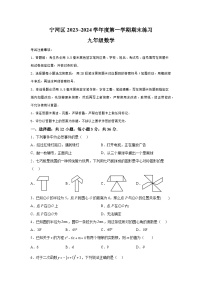 天津市宁河区2023-2024学年九年级上学期期末数学试题（含解析）