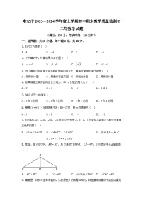 福建省泉州市南安市2023-2024学年八年级上学期期末数学试题（含解析）