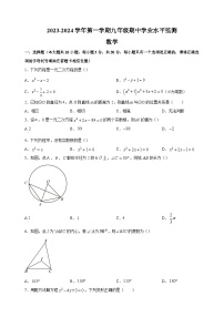 宿迁市泗阳县2023-2024学年九年级上学期期中数学试题（含答案解析）