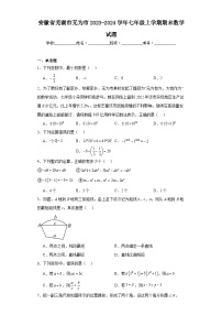 安徽省芜湖市无为市2023-2024学年七年级上学期期末数学试题(含答案)