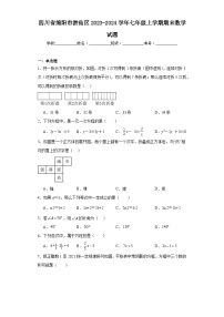 四川省绵阳市游仙区2023-2024学年七年级上学期期末数学试题(含答案)