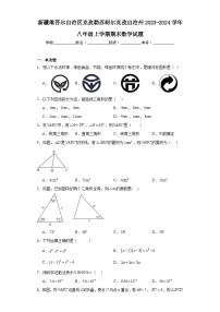 新疆维吾尔自治区克孜勒苏柯尔克孜自治州2023-2024学年八年级上学期期末数学试题(含答案)