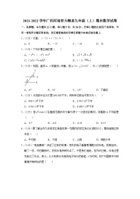 2021-2022学年广西河池市天峨县九年级（上）期末数学试卷