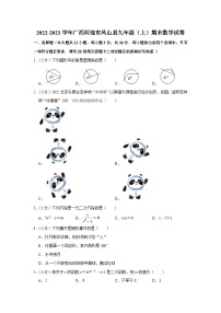 2022-2023学年广西河池市凤山县九年级（上）期末数学试卷