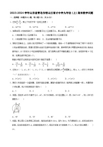 2023-2024学年山东省青岛市崂山区育才中学九年级（上）期末数学试题