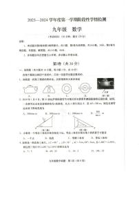 山东省青岛市平度市、胶州市2023-2024学年九年级上学期期末数学试题+答案