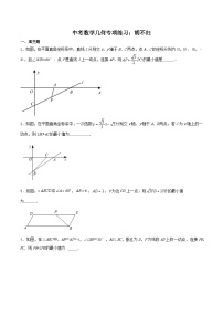 【备战2024年中考】中考数学几何专项练习：胡不归（教师版+学生版）.zip