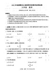 四川省宜宾市兴文县2023-2024学年九年级上学期期末数学试题