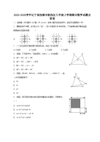 2022-2023学年辽宁省抚顺市新抚区八年级上学期期末数学试题及答案